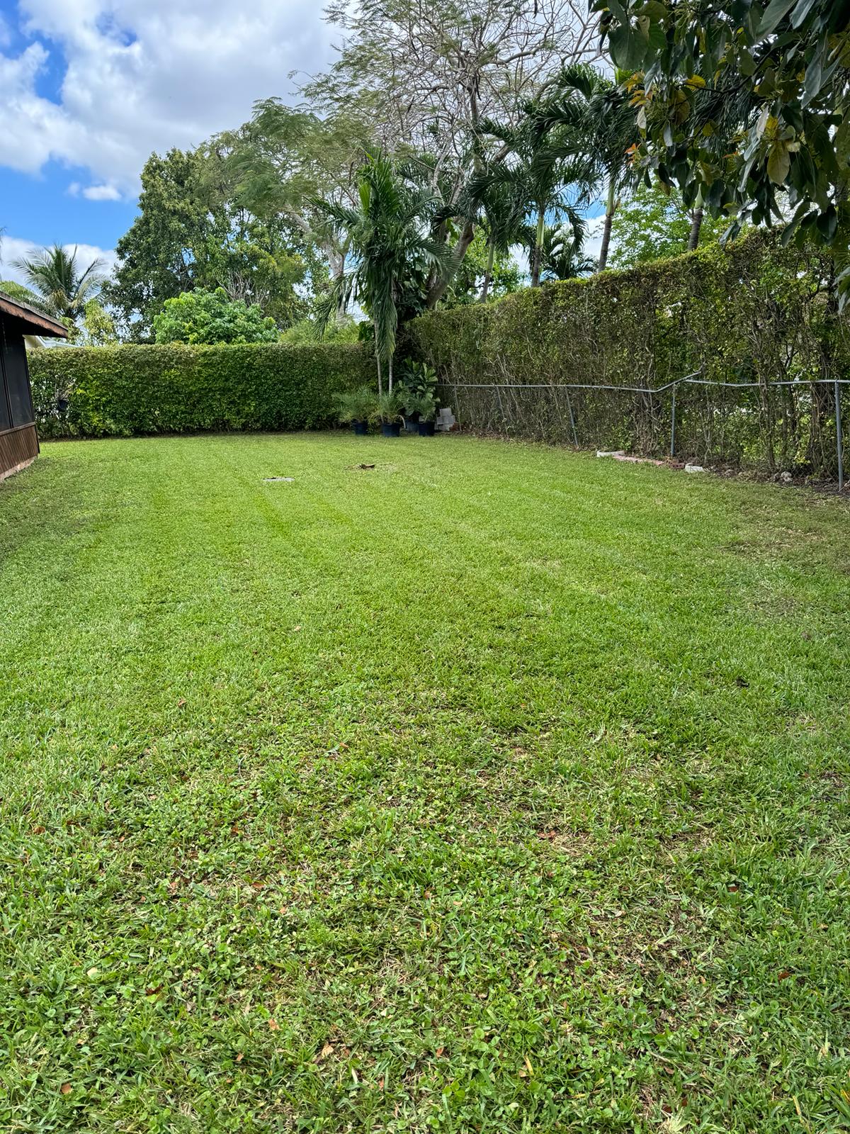 Clean lawn edging along sidewalk after weekly mowing service in Miami-Dade